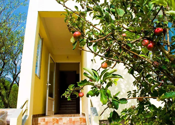 - Paklenica Riviera 6833 Апартаменты